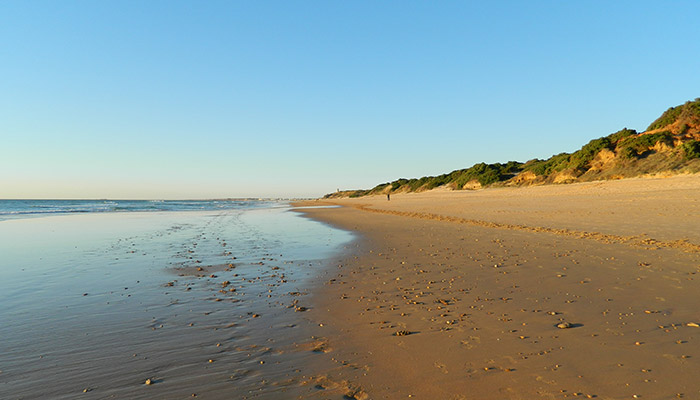 Arena de la playa de Roche