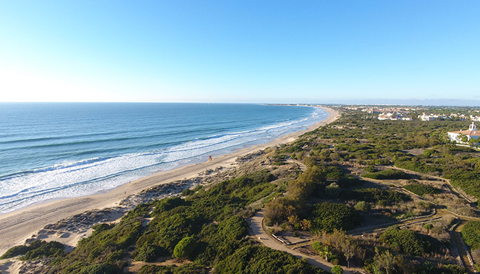 Playa de la Barrosa en Chiclana de la frontera