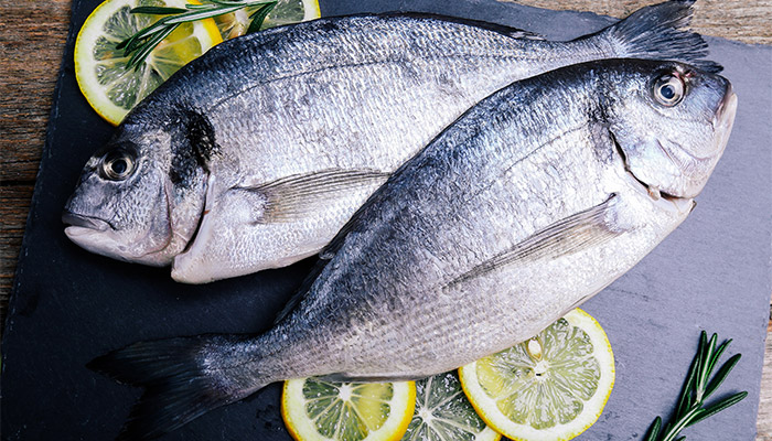 Comer en Conil pescado fresco