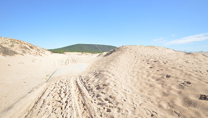 Dunas de la playa de Zahora